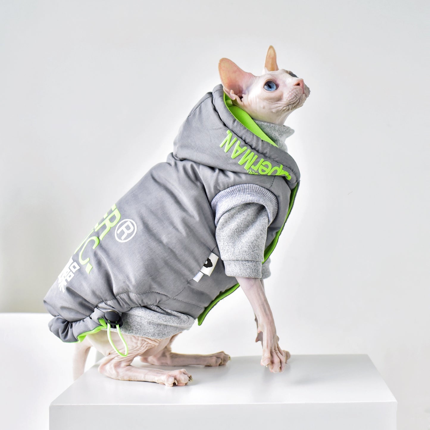 Cozy Winter Coat for Your Hairless Cat - Waggley Tails