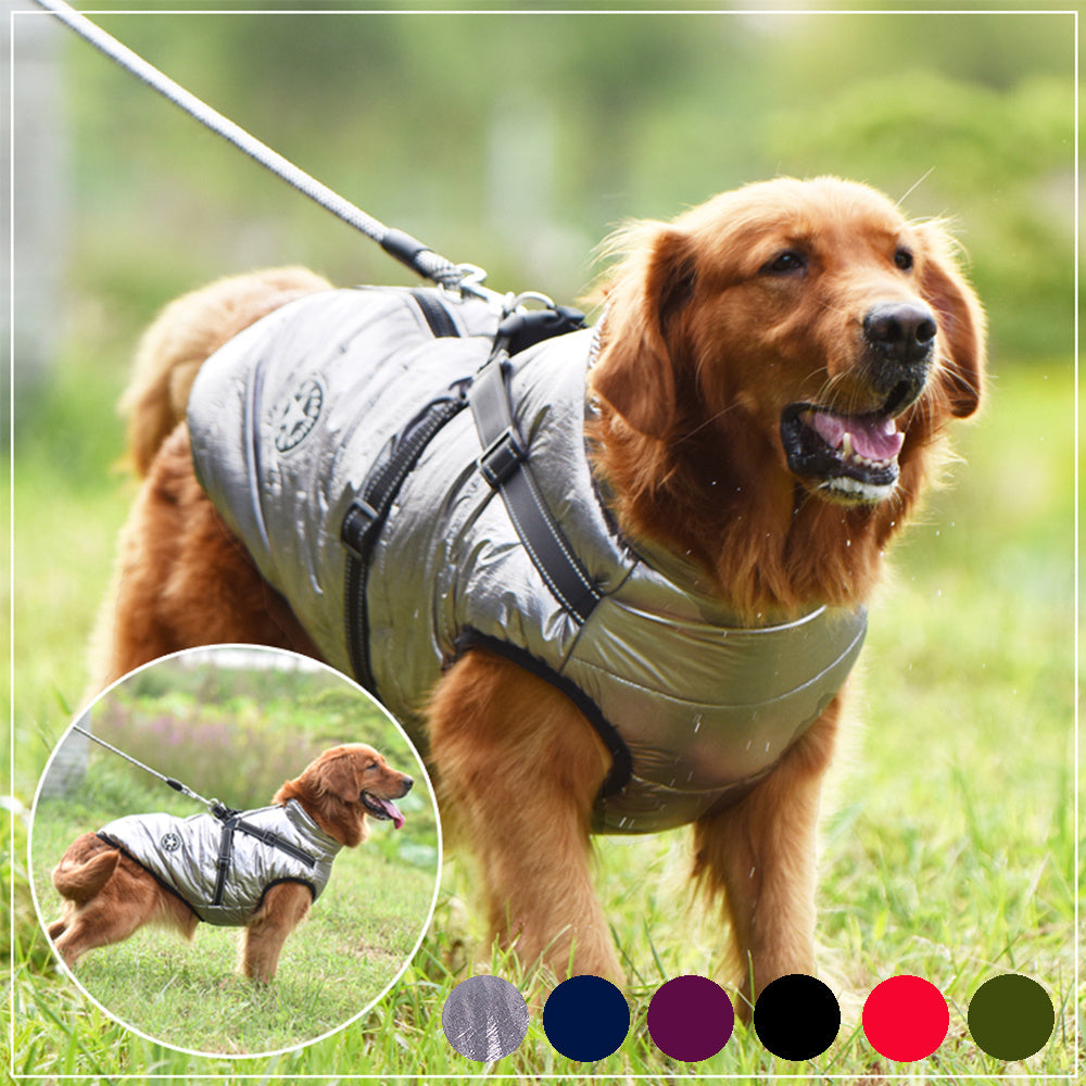 Waterproof Winter Dog Coat with Harness - Keep Your Pup Warm and Dry - Waggley Tails