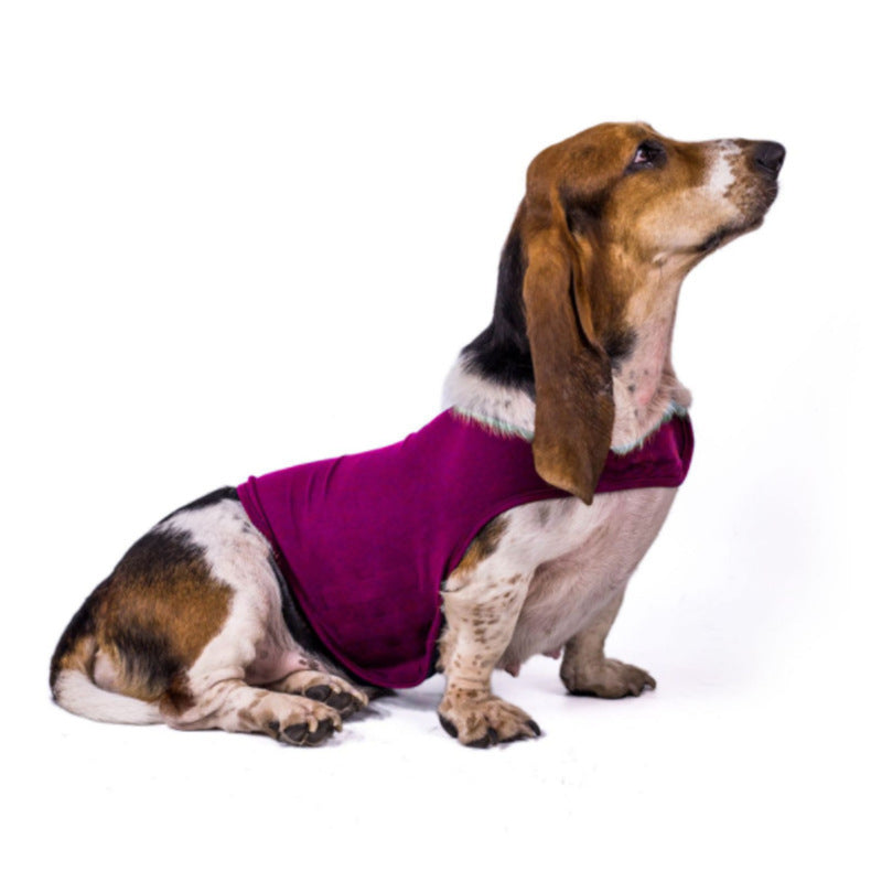 Calming Comfort: Anxiety-Reducing Dog Jacket - Waggley Tails