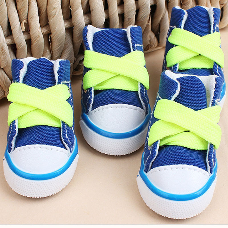 Pug wearing blue shoes indoors