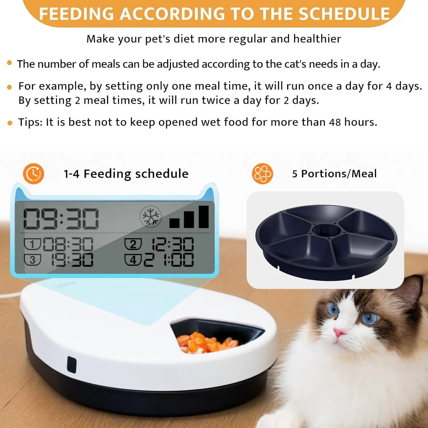 Pet feeding system with digital timer and food dish, accompanied by a cat.