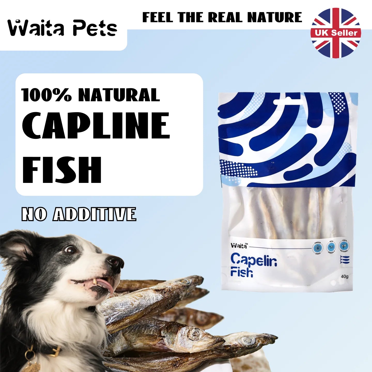 Waita Freeze-Dried Capelin Treat – Whole Fish Snack for Pets 40g - Waggley Tails