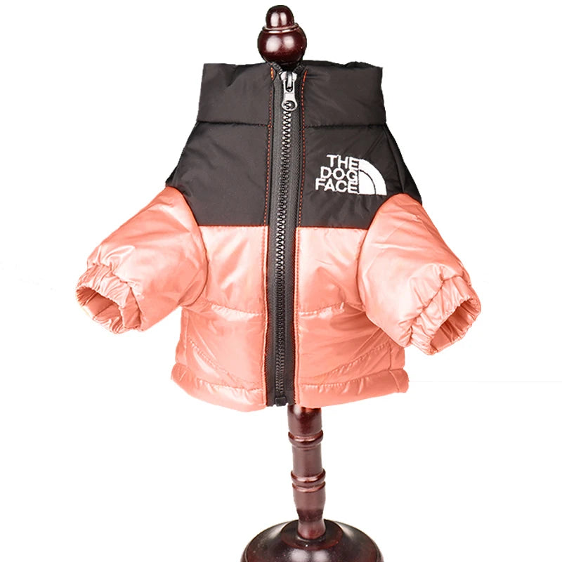 Small dog wearing a stylish and functional winter outfit