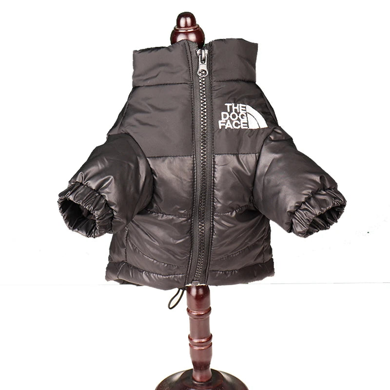 Dog jacket designed for medium to large Labradors.