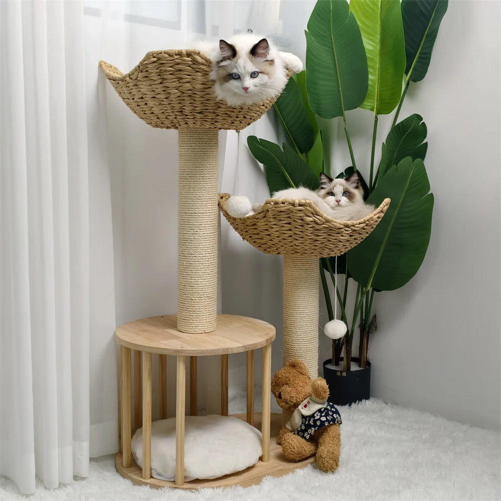 Cosy kitten tower with napping perches UK