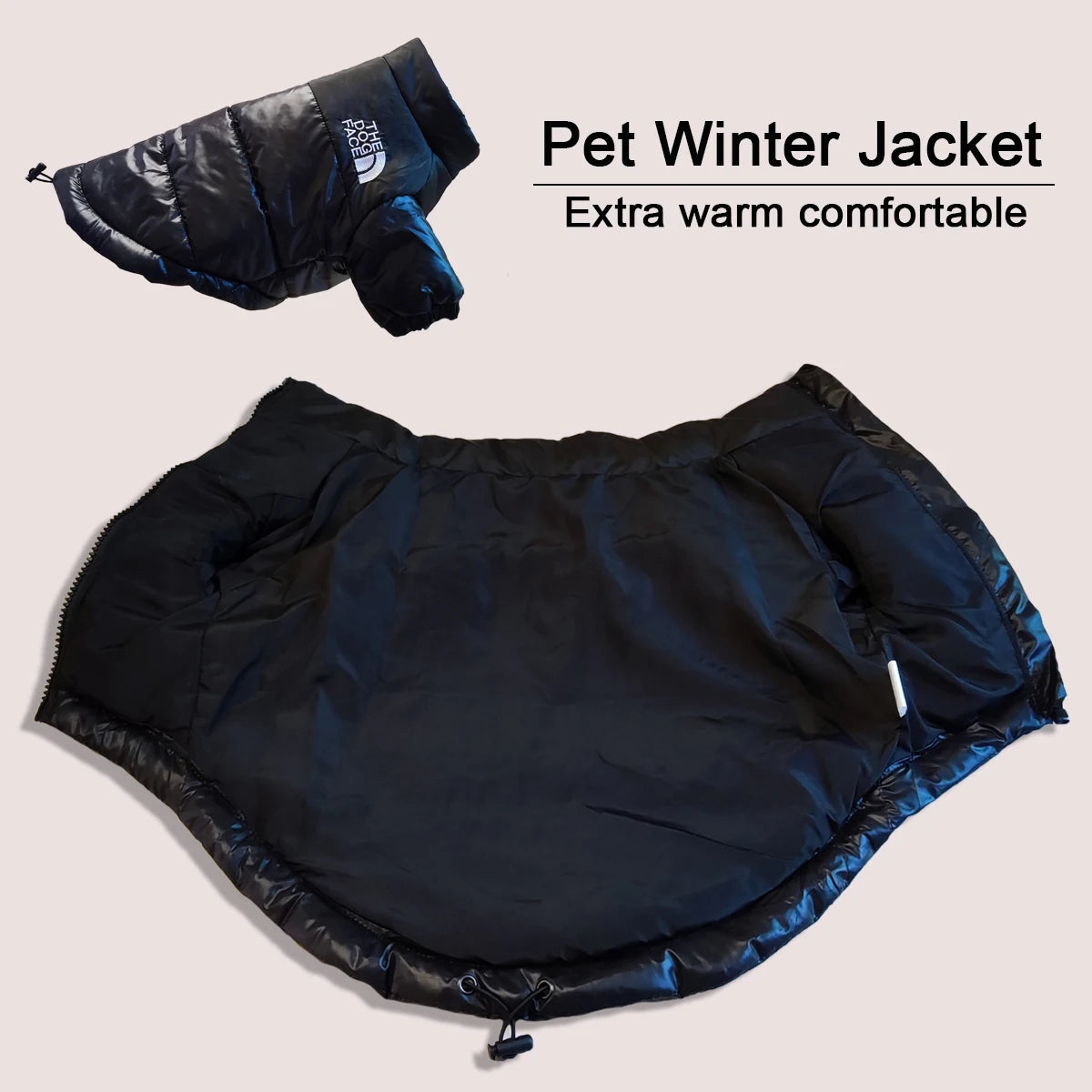 Dog wearing a cozy, padded jacket in winter snow.