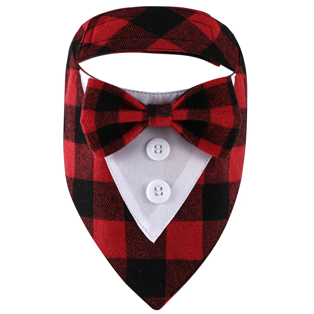 Red and black checkered dog collar with bow tie and white shirt on a white background