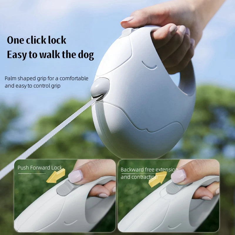 Dog leash with one-click lock mechanism, showing usage and features.