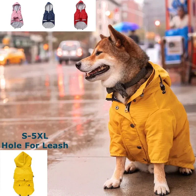 Dog wearing a yellow raincoat on a rainy street with inset images of other raincoats and a close-up of the coat's hole for a leash.
