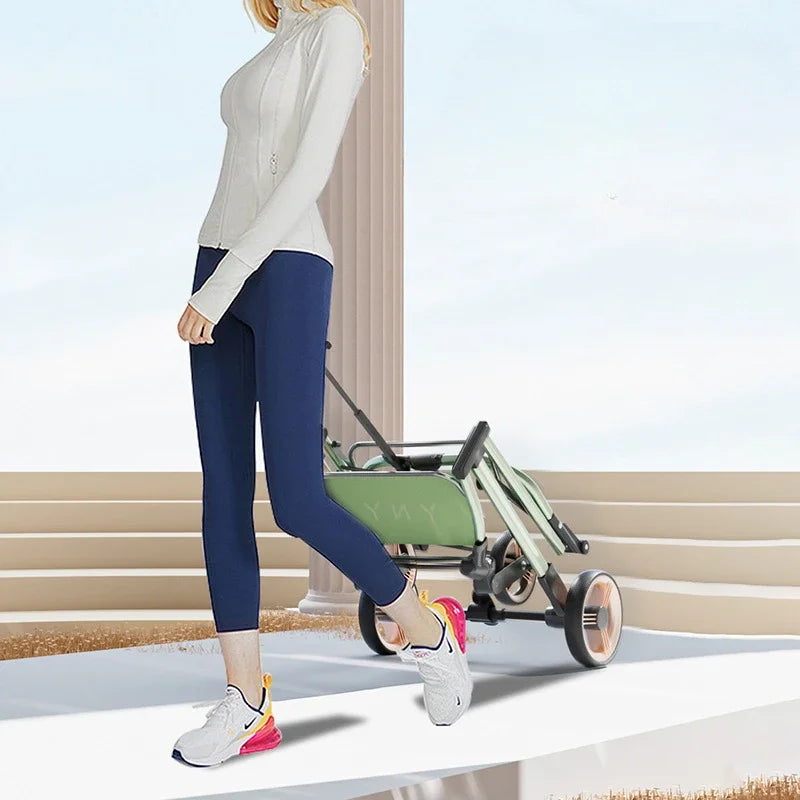 Lightweight and durable pet travel system with a sturdy aluminium frame