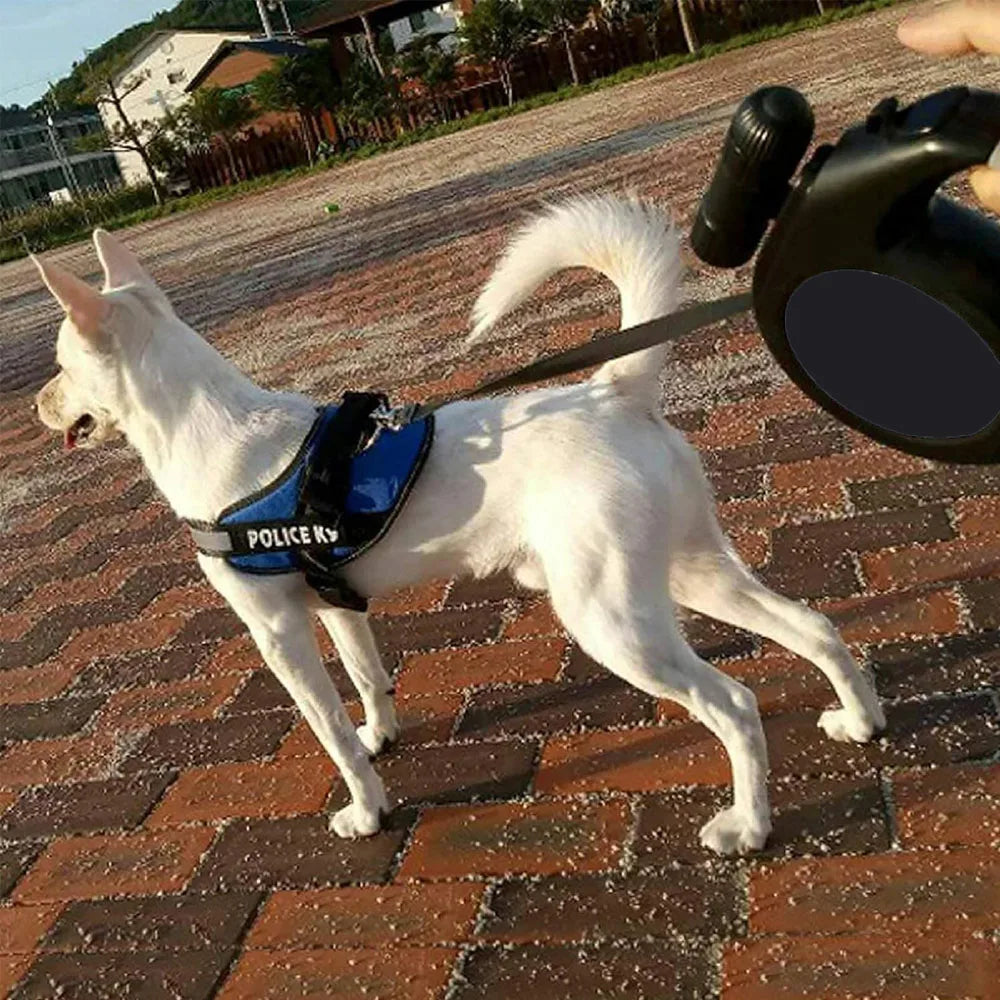White dog wearing a blue police harness on a brick pavement