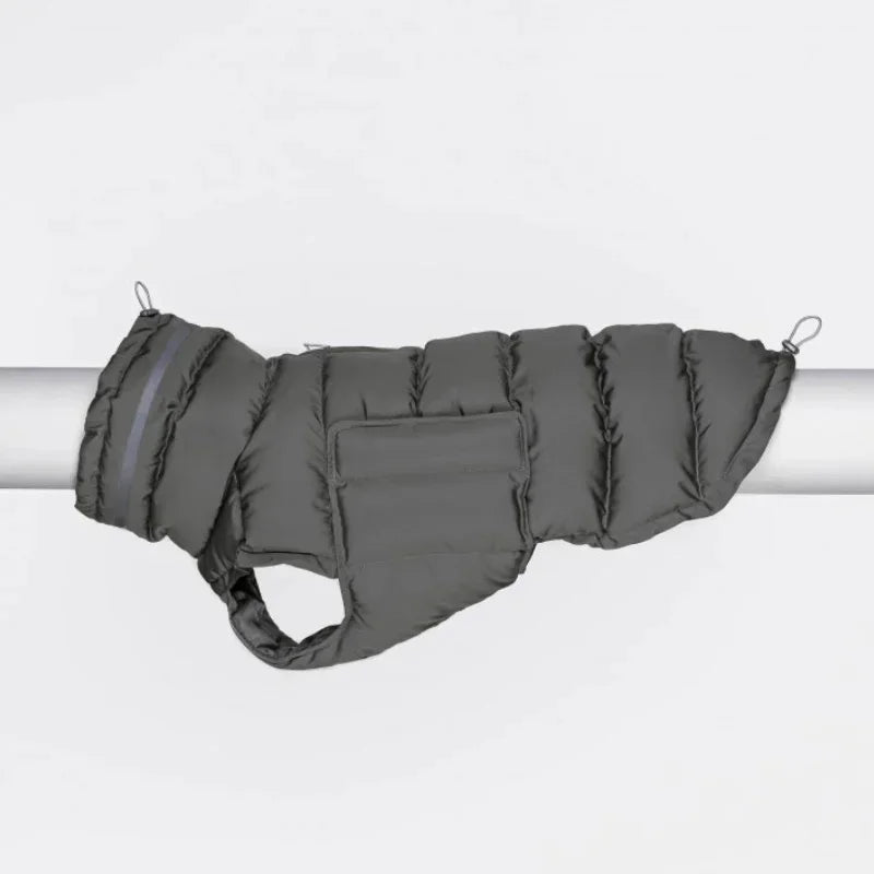Gray dog coat on a white background