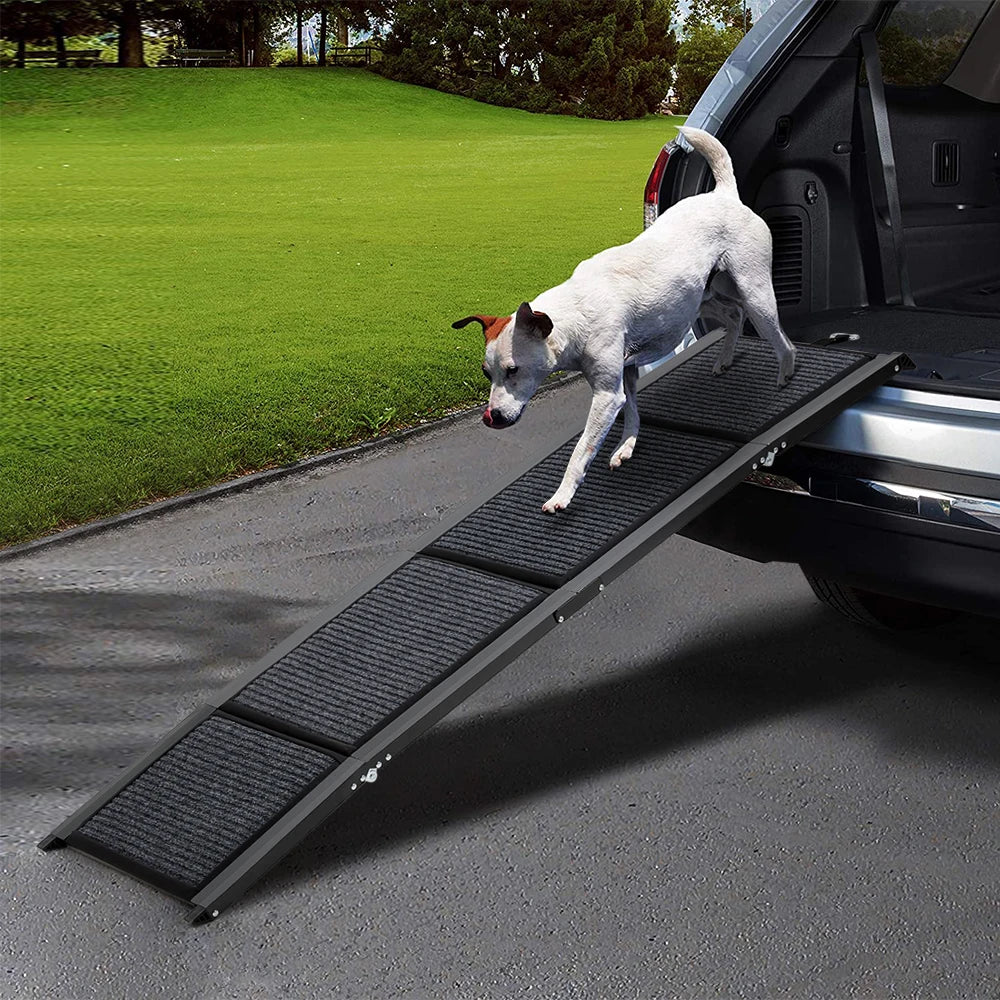 Dog using a black pet ramp to enter a vehicle on a driveway.