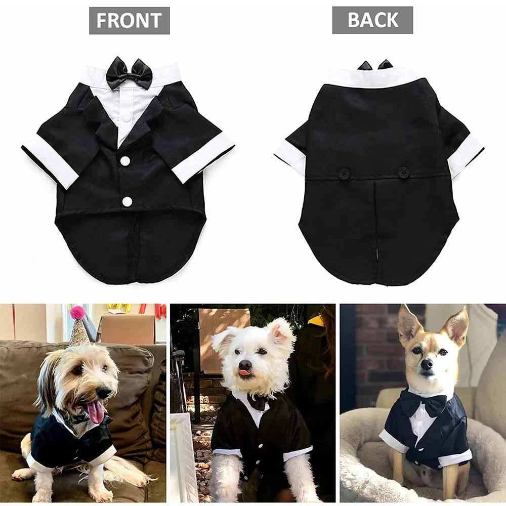 Dog tuxedo with front and back views, and dogs wearing the tuxedo in various settings.