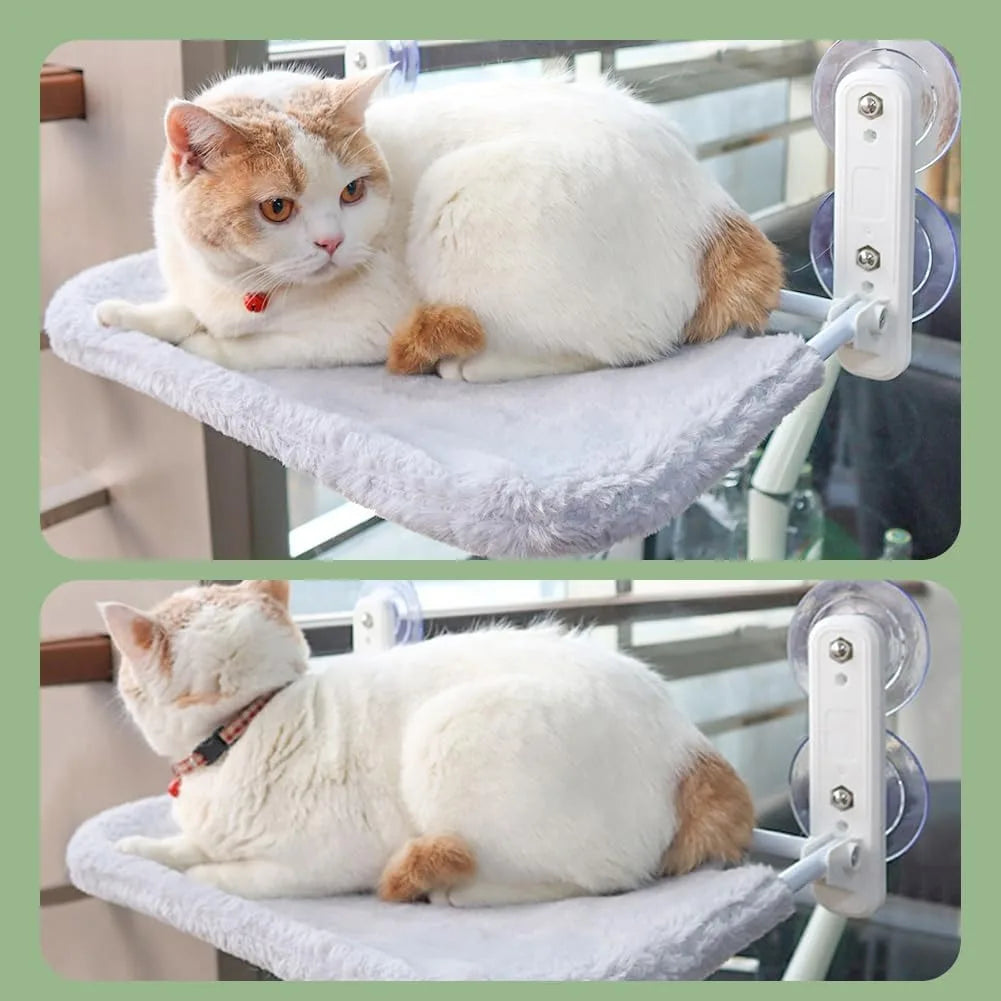 Two cats relaxing on a pet hammock attached to a window.