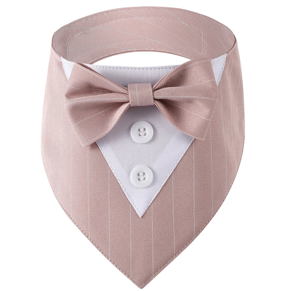 Pink pinstripe dog collar with bow tie and button details on a white background