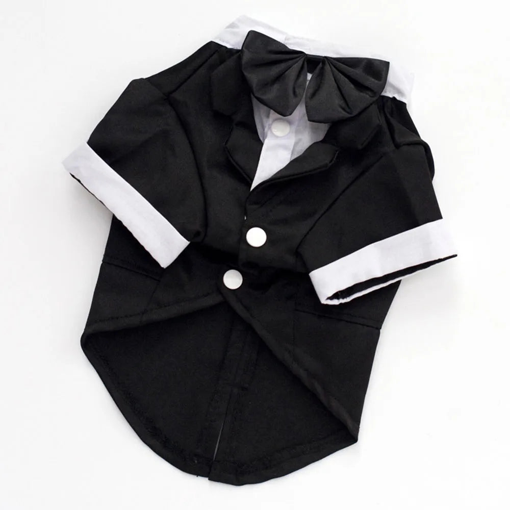 Black pet outfit with white trim and a large bow on a white background