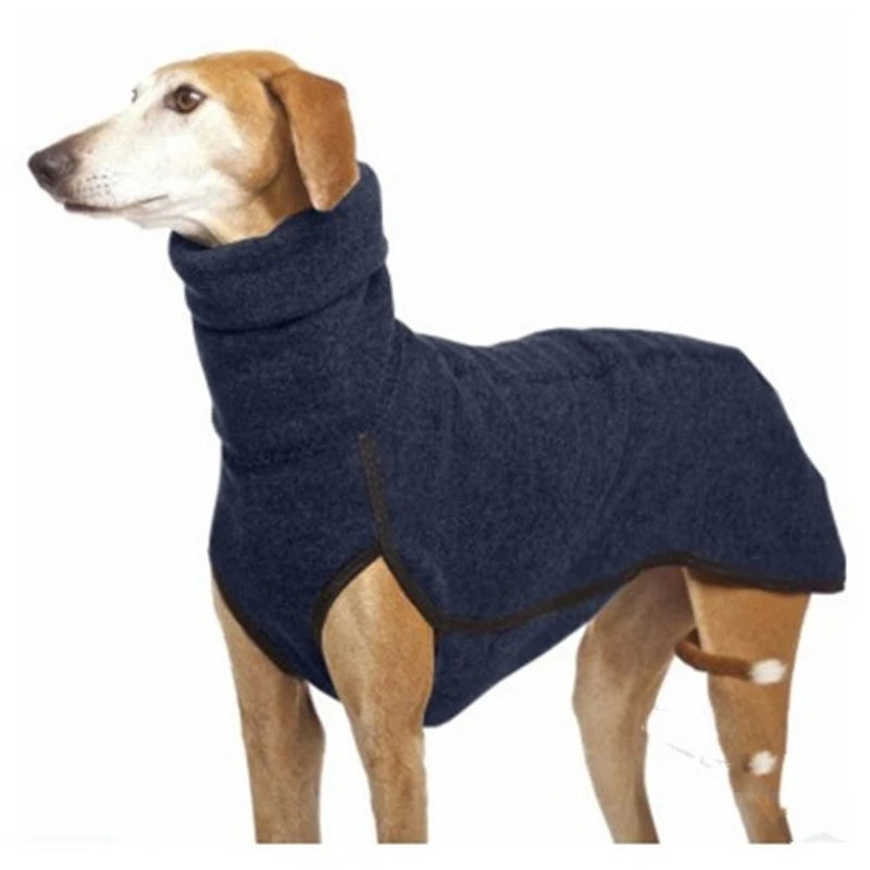 Great Dane in a solid-pattern jumper sweater for cold weather.