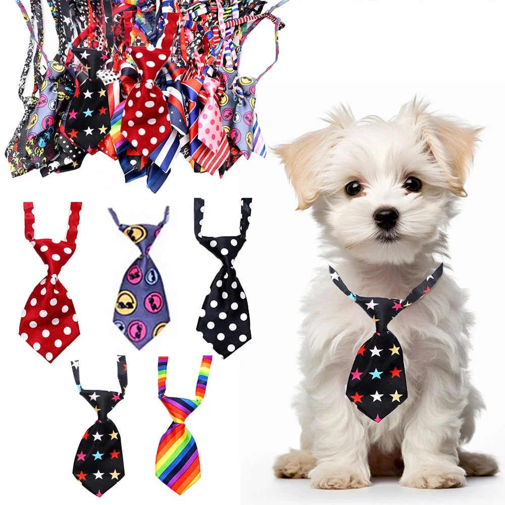 Dog wearing a colorful tie with various other ties displayed on a white background