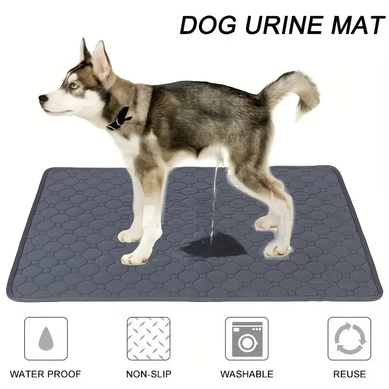 Washable dog diaper mat displayed in a living room, protecting the floor.