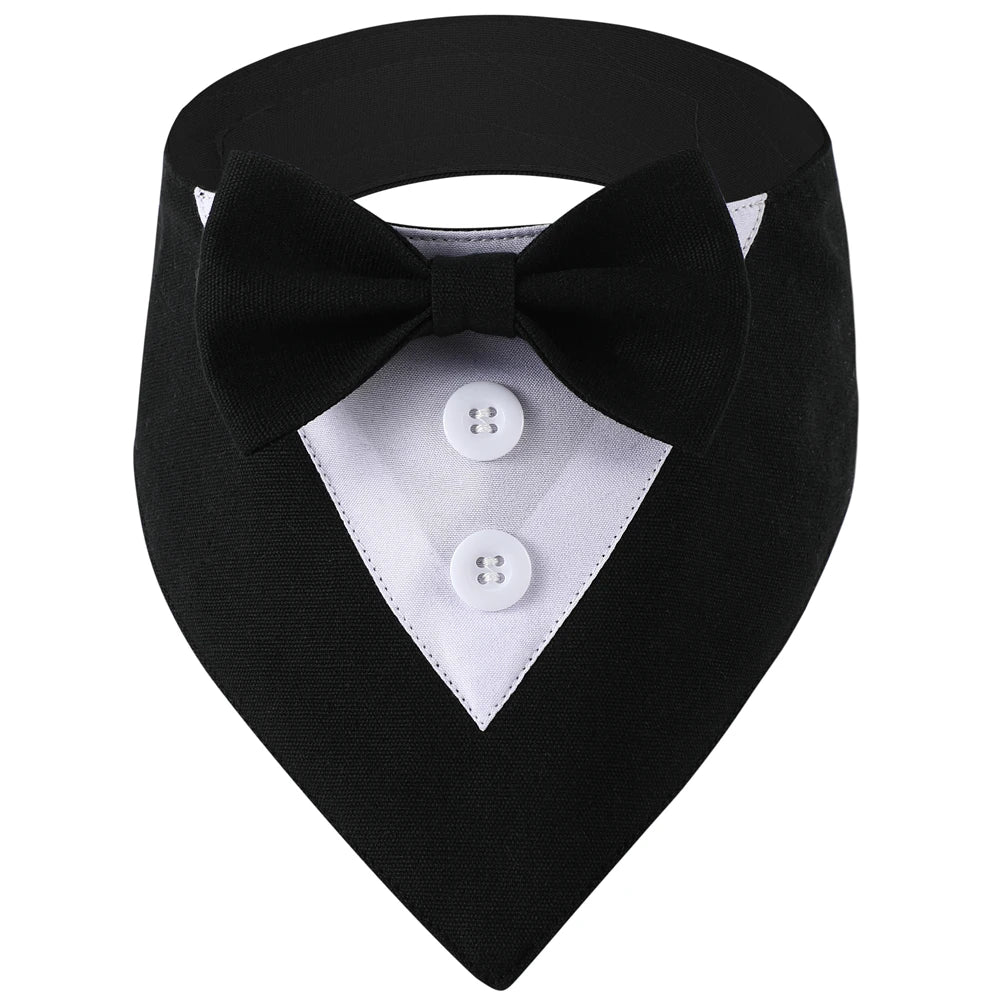 Black dog bandana with white shirt collar and buttons on a white background