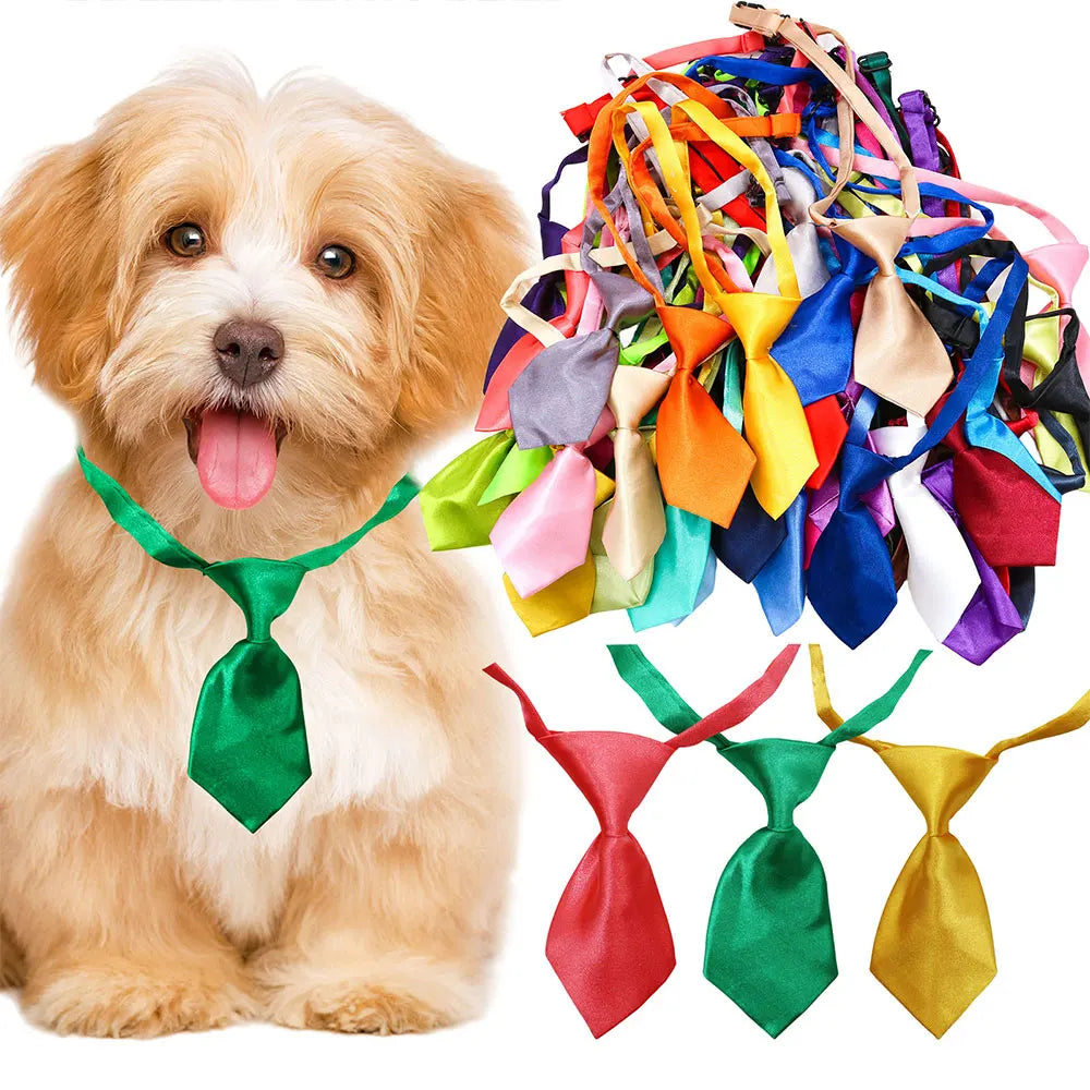 Dog wearing a green tie with colorful ribbons and additional ties displayed on a white background