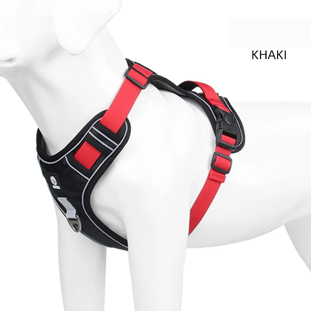 Large dog wearing a no-pull harness with a sturdy front leash clip.
