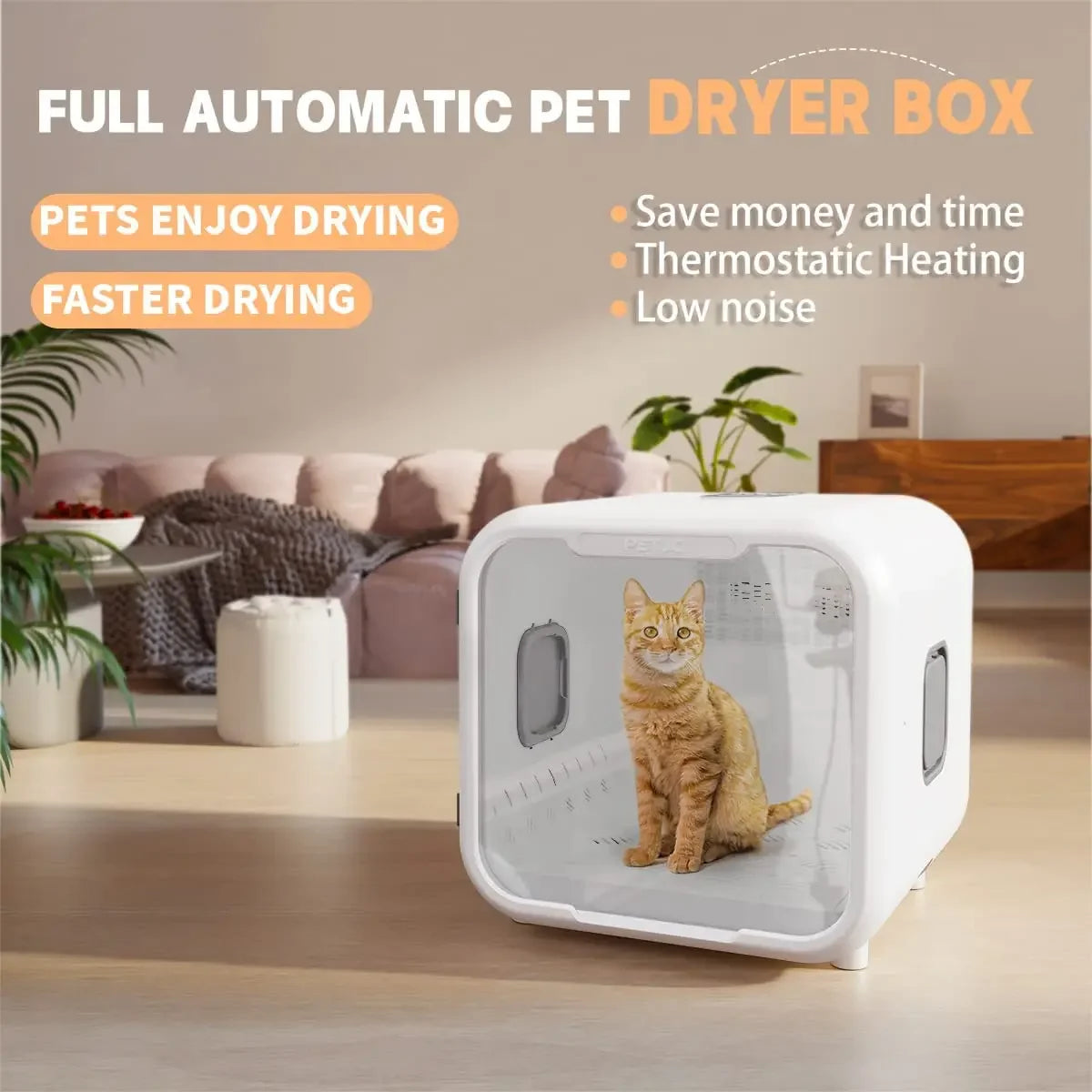 Interior view showing spacious compartment for pets.