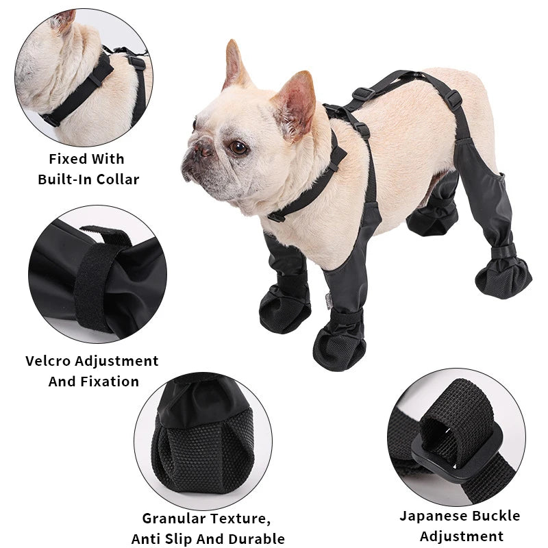 Dog wearing a black protective harness with various features highlighted.