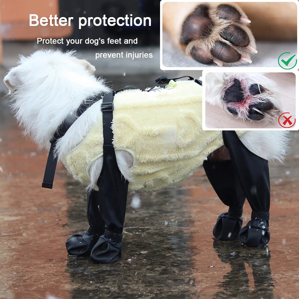 Dog wearing black rain boots with text about protecting dog feet and preventing injuries.