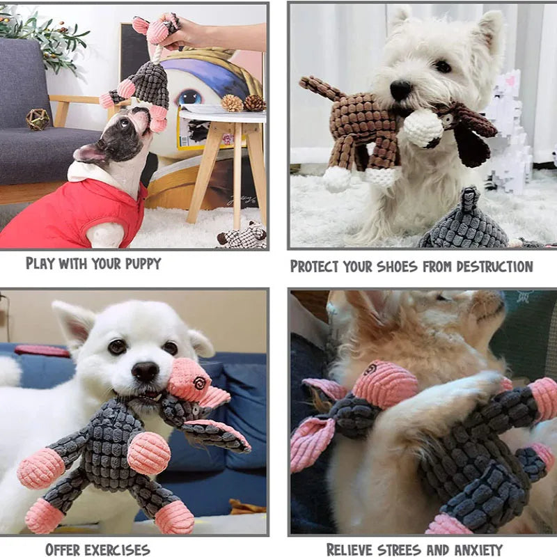 Collage of dogs playing with a chew toy, with text indicating benefits like play, shoe protection, exercise, and stress relief.