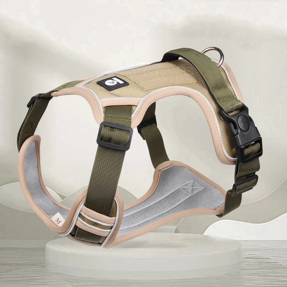 Adjustable dog harness with leash attachment clips for training.