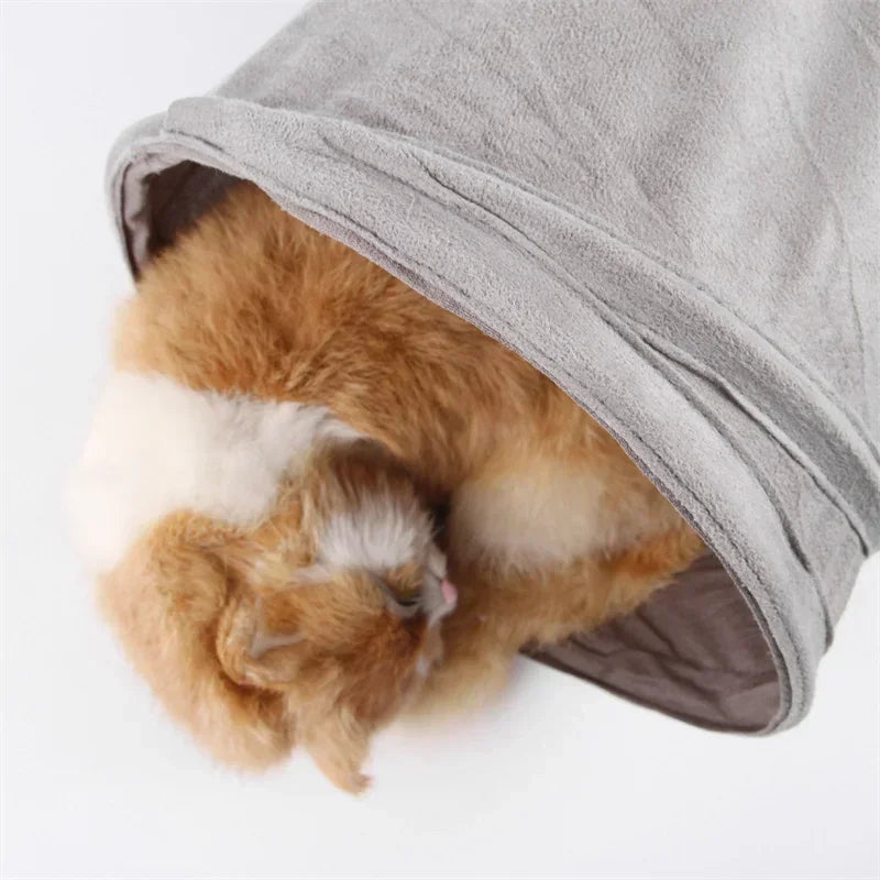 Cat peeking out from a gray fabric tunnel on a white background