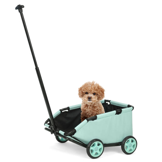 Small dog in folding stroller outdoors