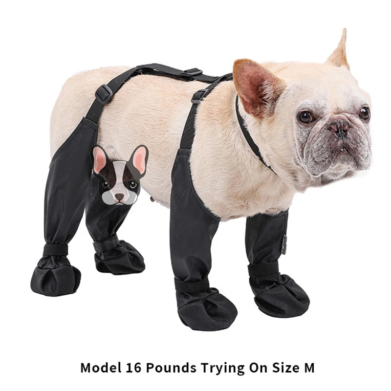 Dog wearing black protective leg wraps on a white background