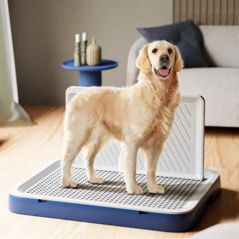 Dog standing on a pet grooming platform in a home setting