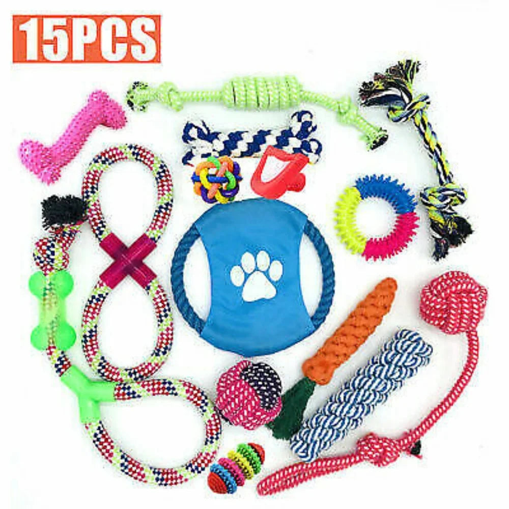 Best selection of puppy toys for chewing and healthy development UK