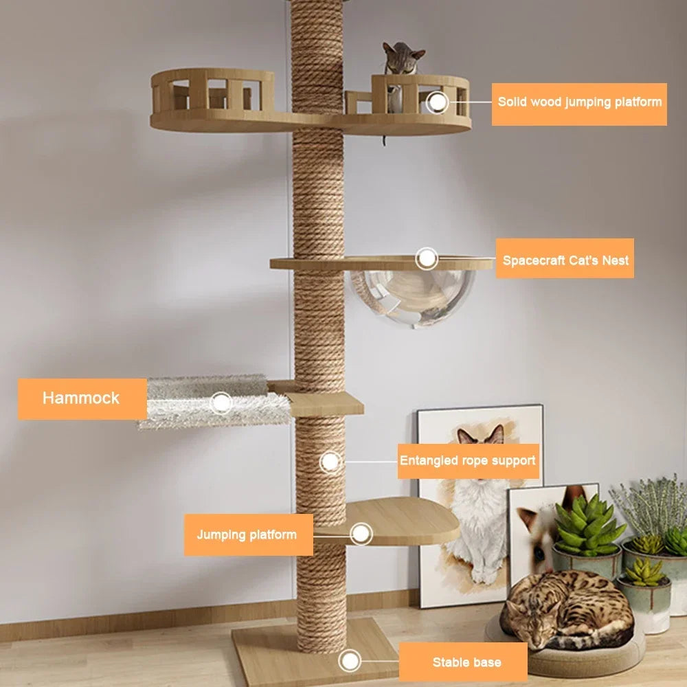 Cat tree with various features labeled in a room setting Natural wood cat tree with hammock bed