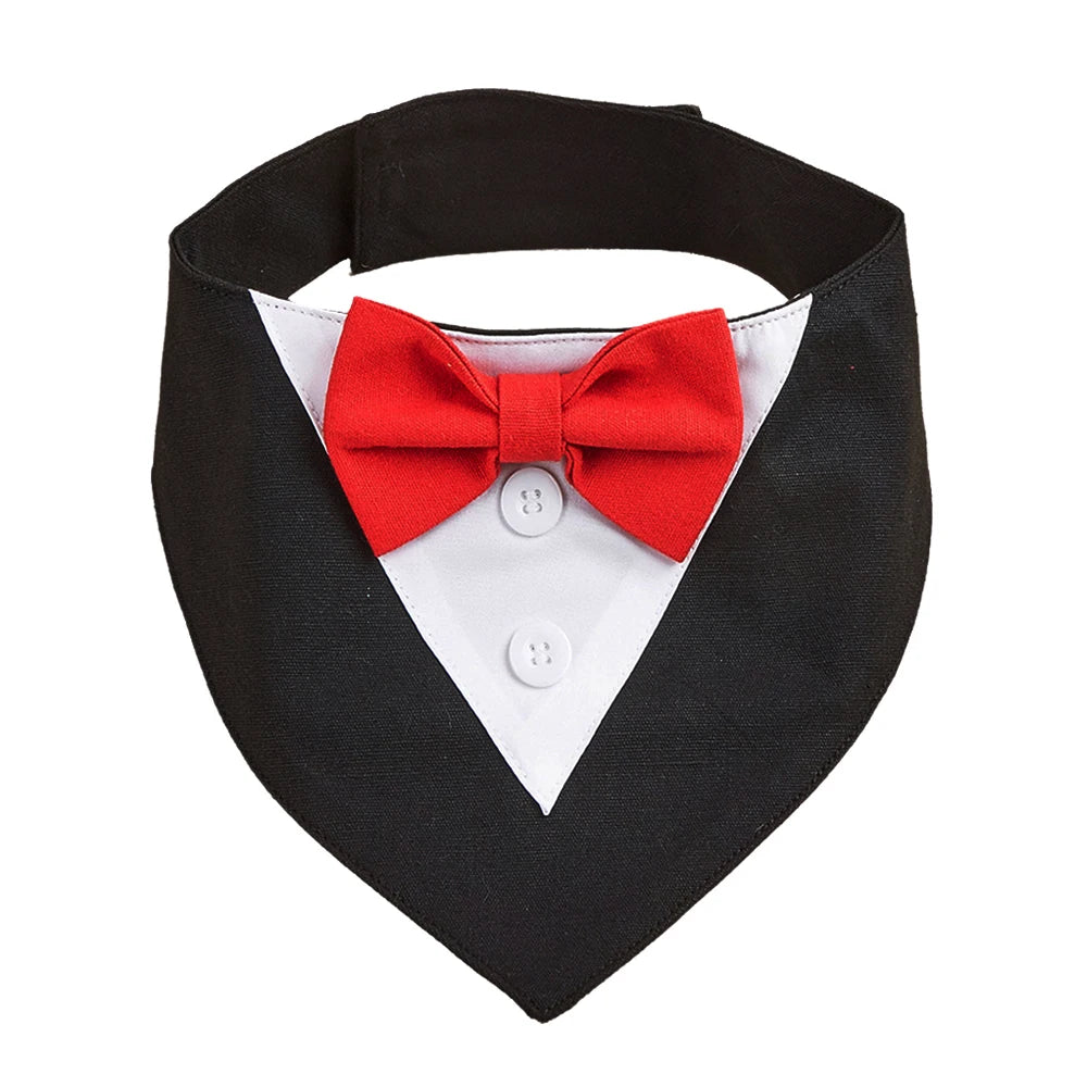 Black dog collar with a red bow tie on a white background