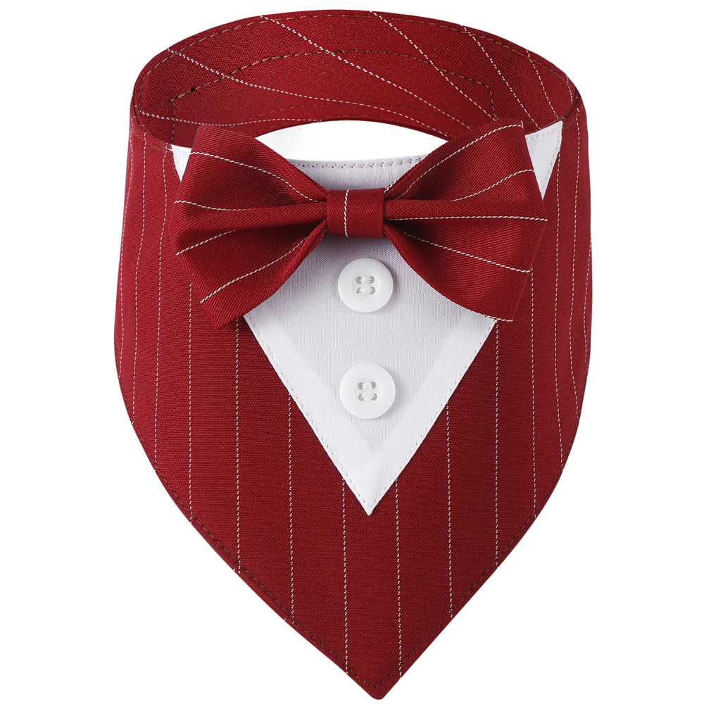 Red pinstripe dog collar with bow tie and white shirt on a white background