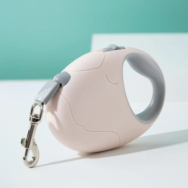 Retractable dog leash with keychain on a light surface with a teal background