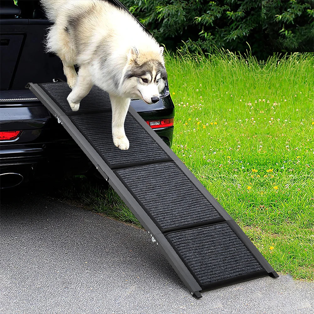 Dog using a black pet ramp to get into a car on a grassy area.