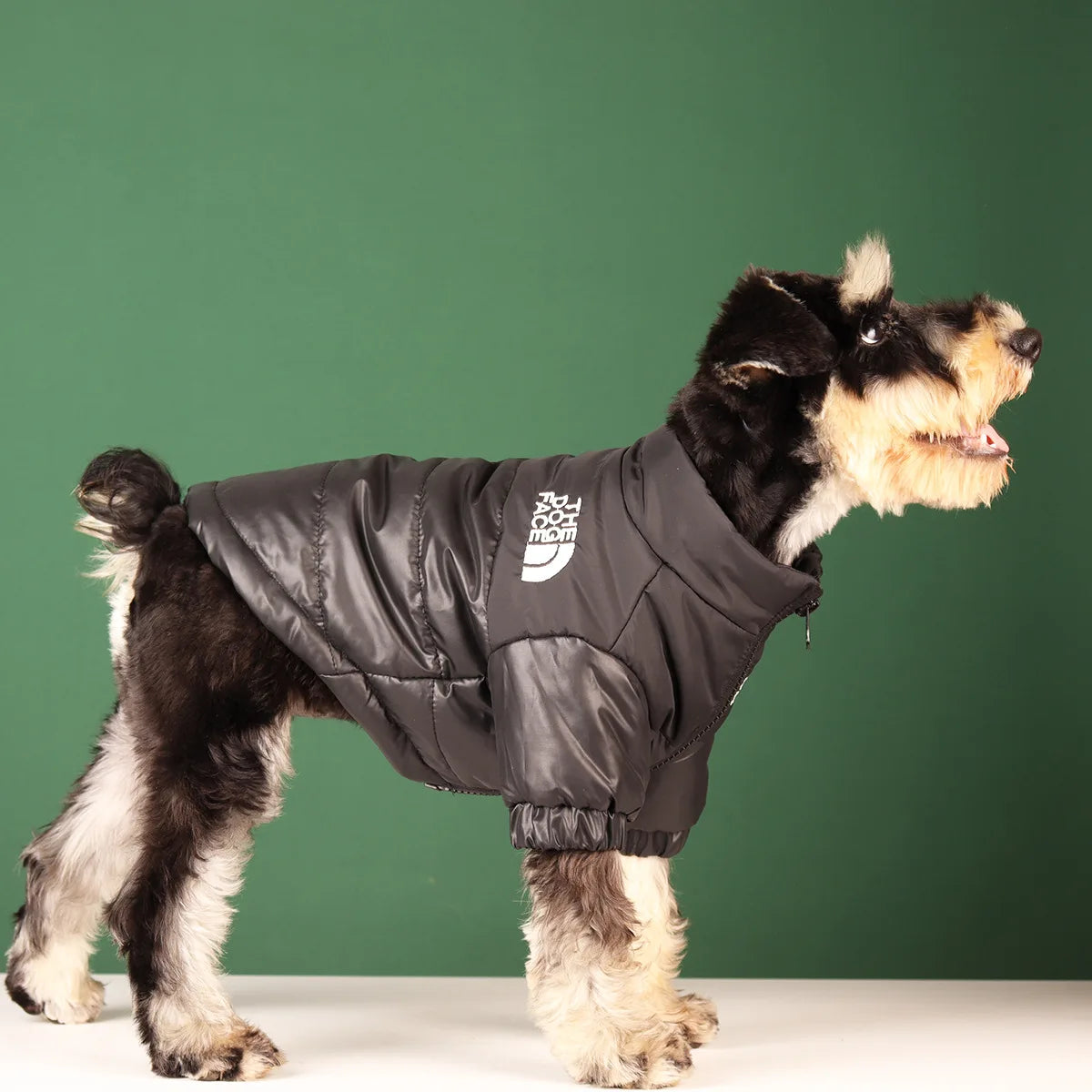 Easy-to-wear winter dog jacket with Velcro closure.