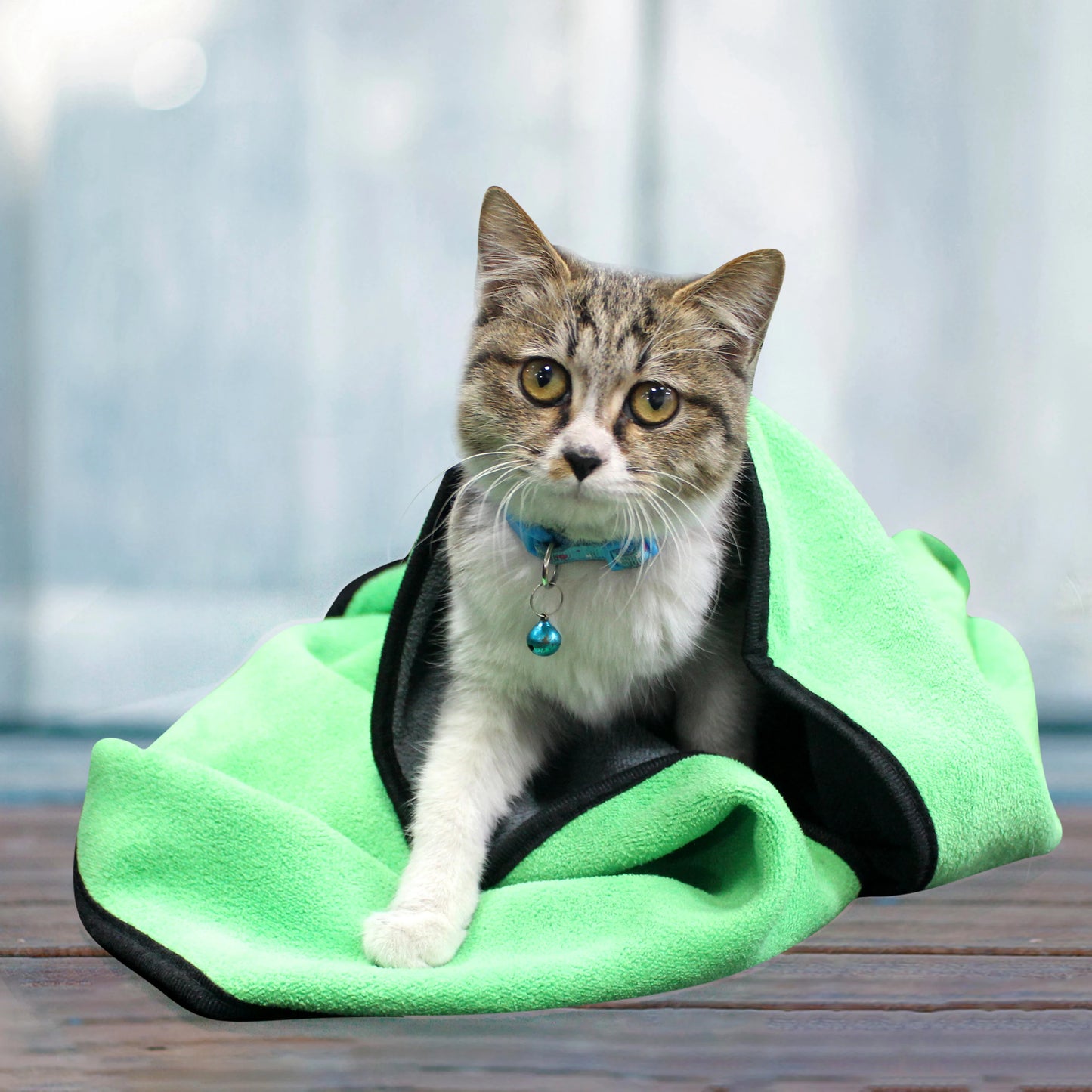 Small microfiber pet towel draped over a wet puppy for drying.