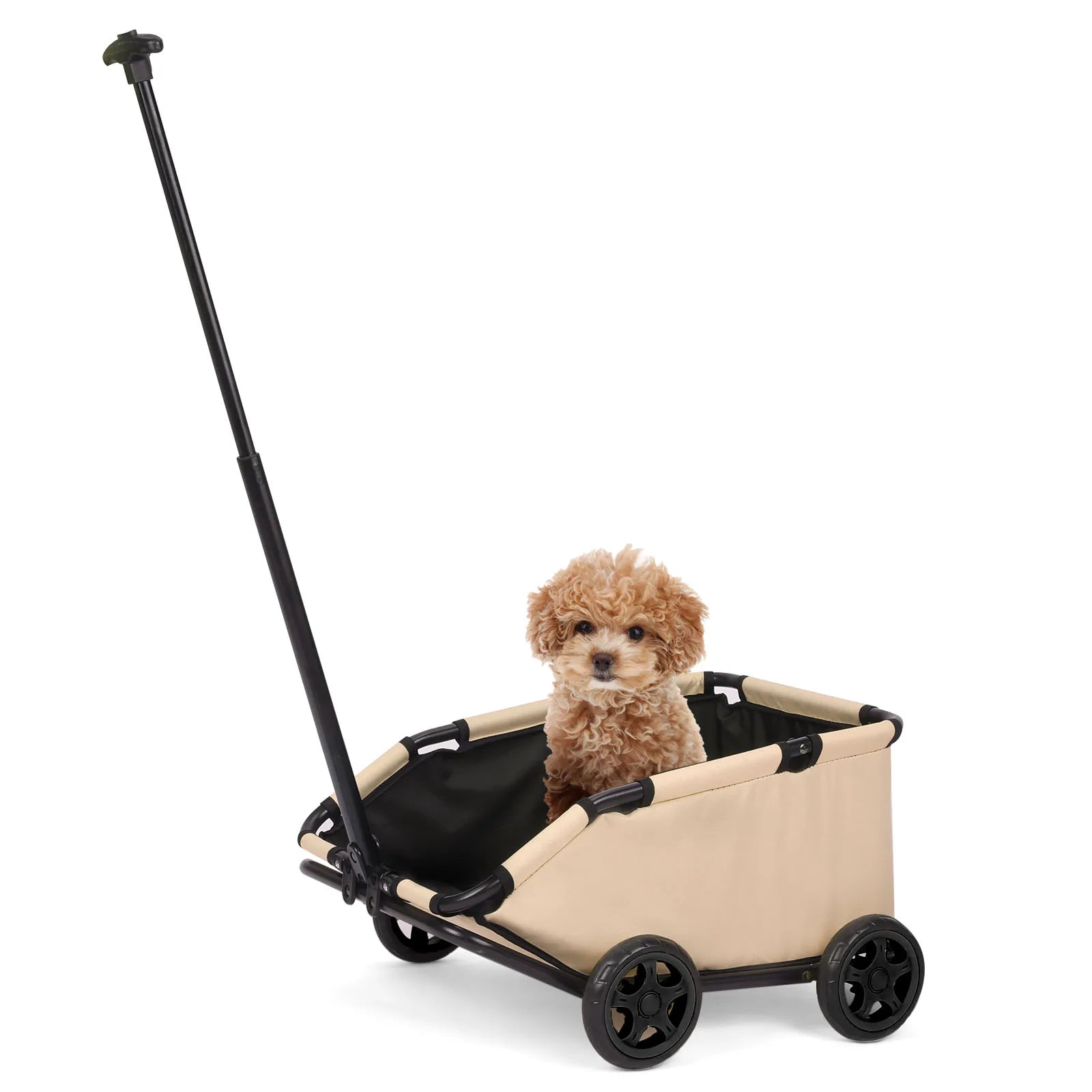 Pet stroller with a small dog inside on a white background