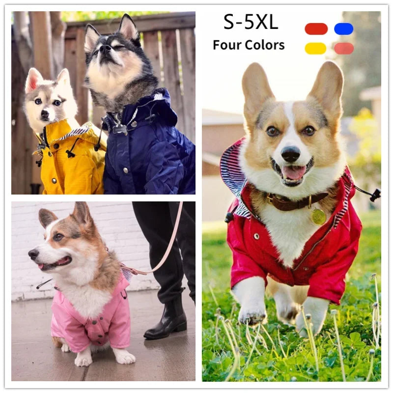 Collage of dogs wearing colorful raincoats with product details on a white background.