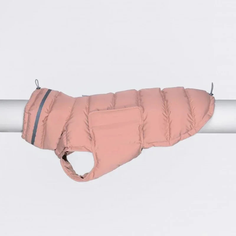 Pink dog coat on a white background