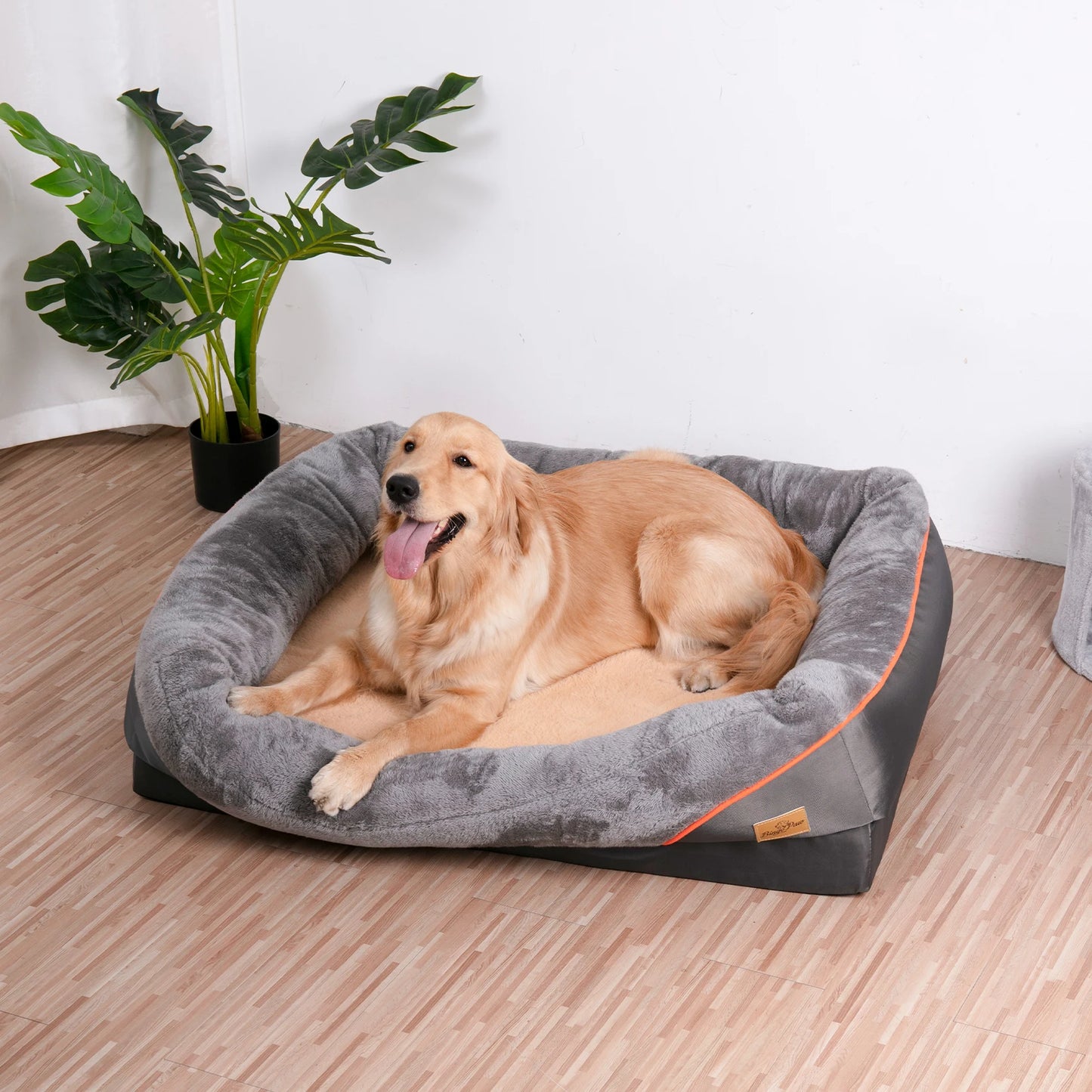 Dog lying on a gray pet bed with a plant in the background