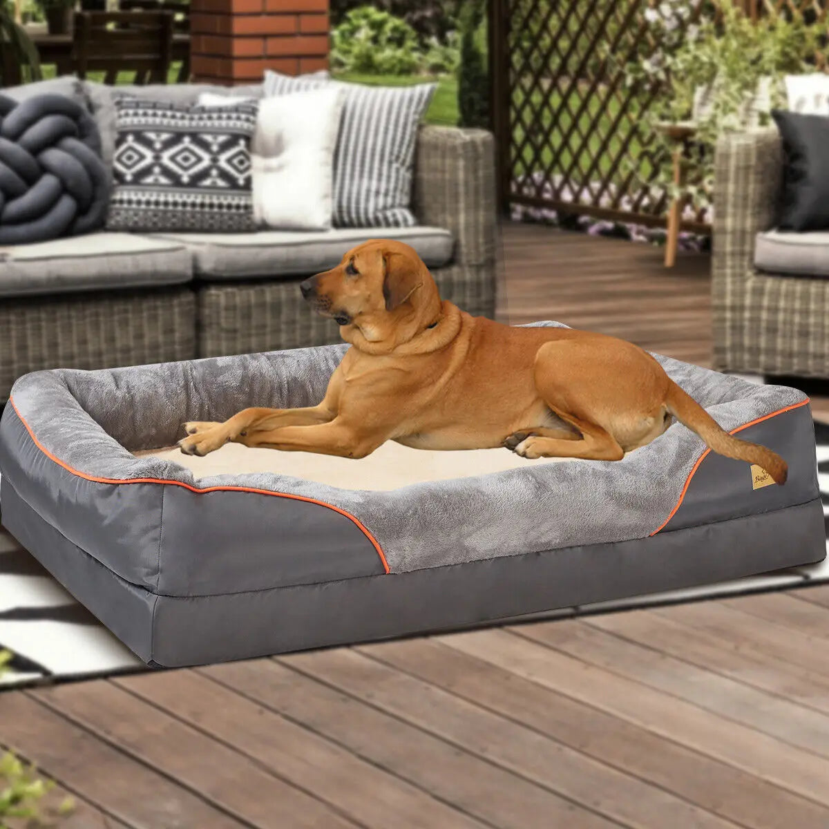 Dog lying on a gray pet bed outdoors with a couch and cushions in the background.