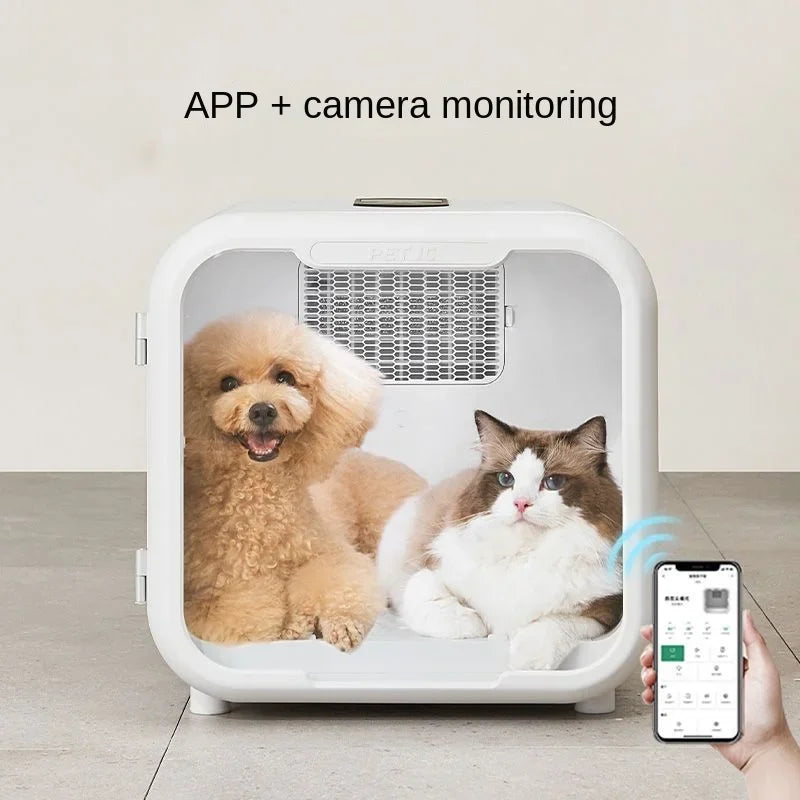 Pets inside the drying chamber during operation.